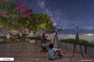 Star Gazing